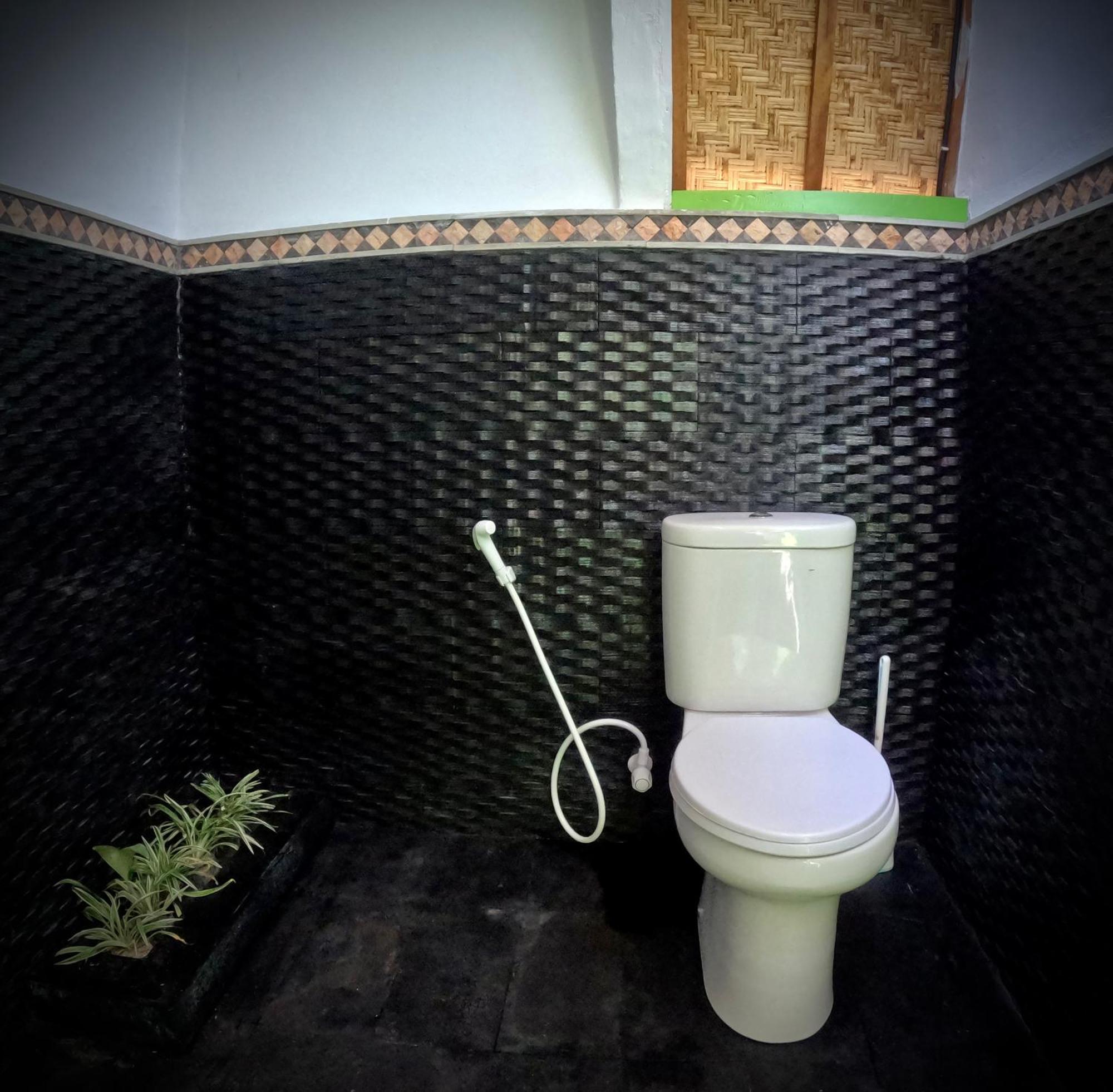 גילי אייר Kaktus Bungalow 1 מראה חיצוני תמונה